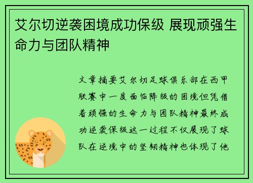 艾尔切逆袭困境成功保级 展现顽强生命力与团队精神